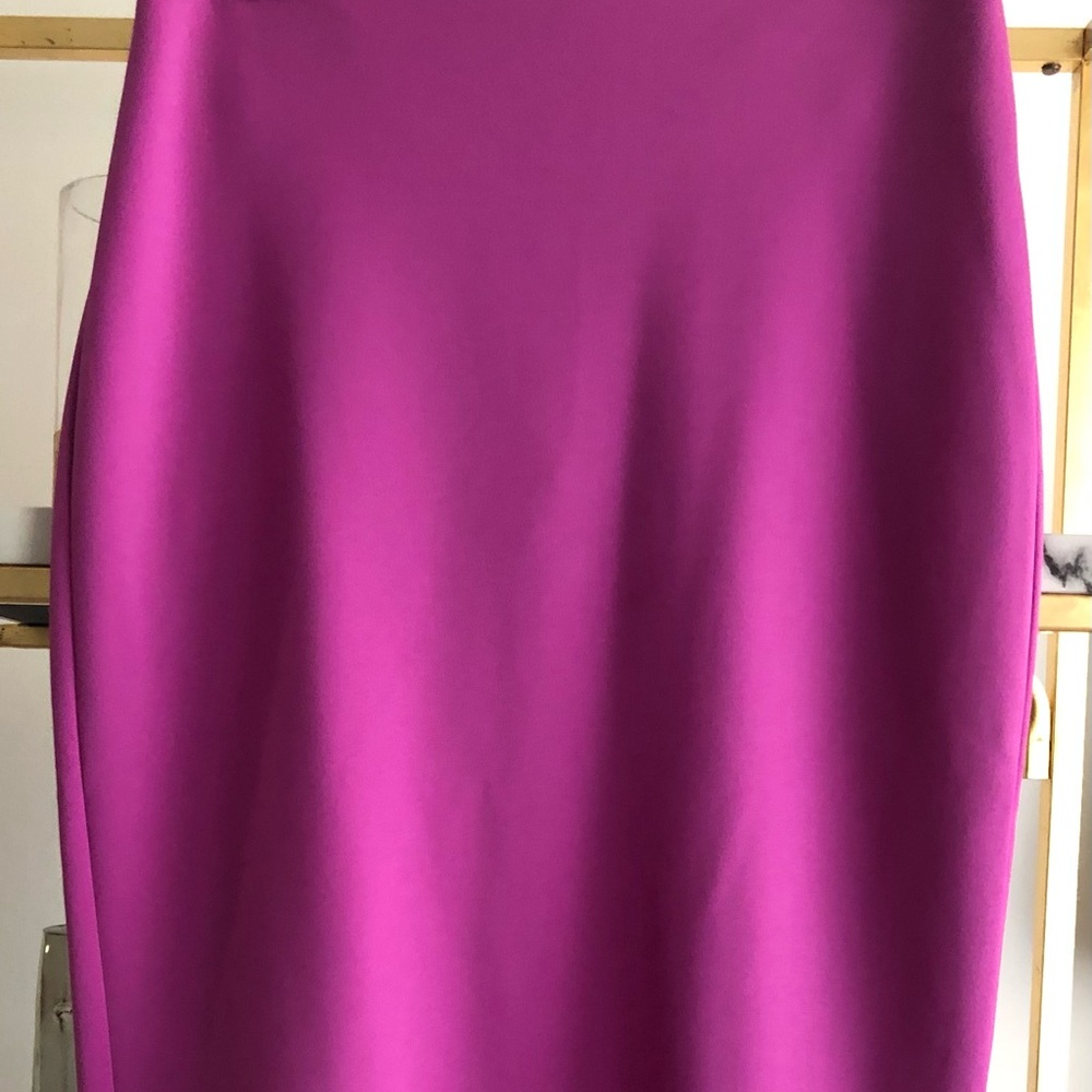 Express pencil skirt